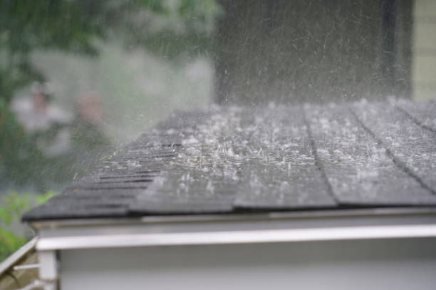 Best Asphalt Shingle Roofing  in Ina, IL